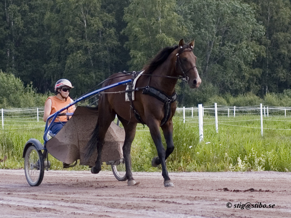 Yeti Boko - Toni Muhonen