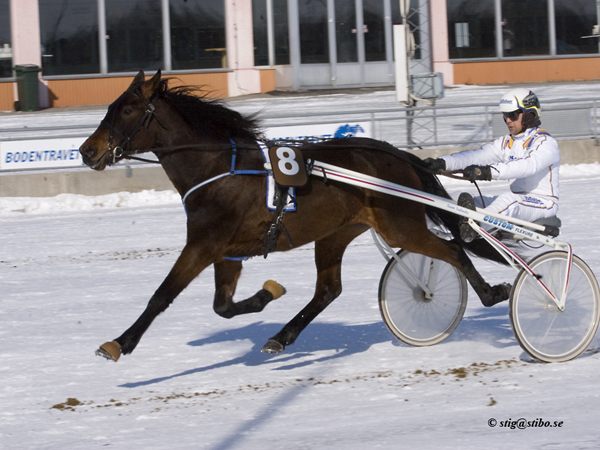 Bilabong Zon - Patrik Nygren