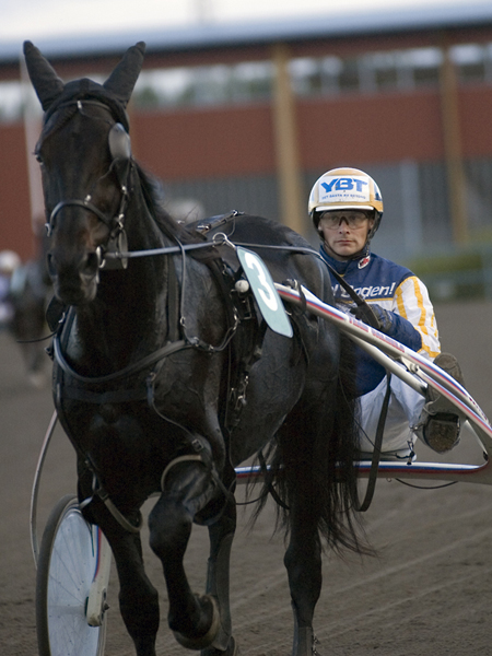 Urchin Boko - Petteri Joki 02