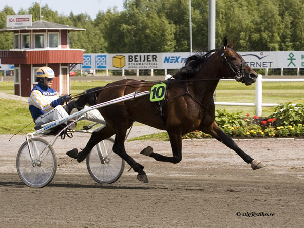 Rehn Sisu - Petteri Joki